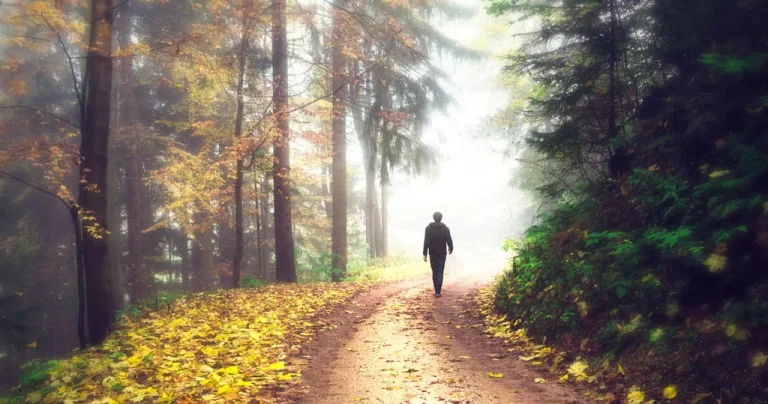 Encuentro online la muerte proceso morir