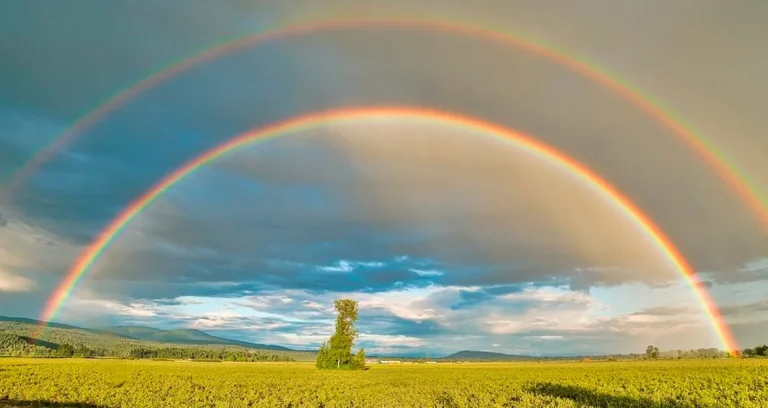 Retiro de verano de mindfulness y meditación shamatha y vipassana