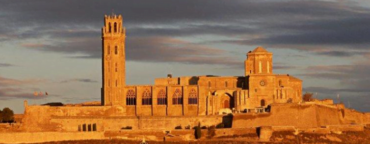 Captura de Pantalla 2024-09-26 a las 19.31.09