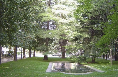 Yoga matinal en Lleida