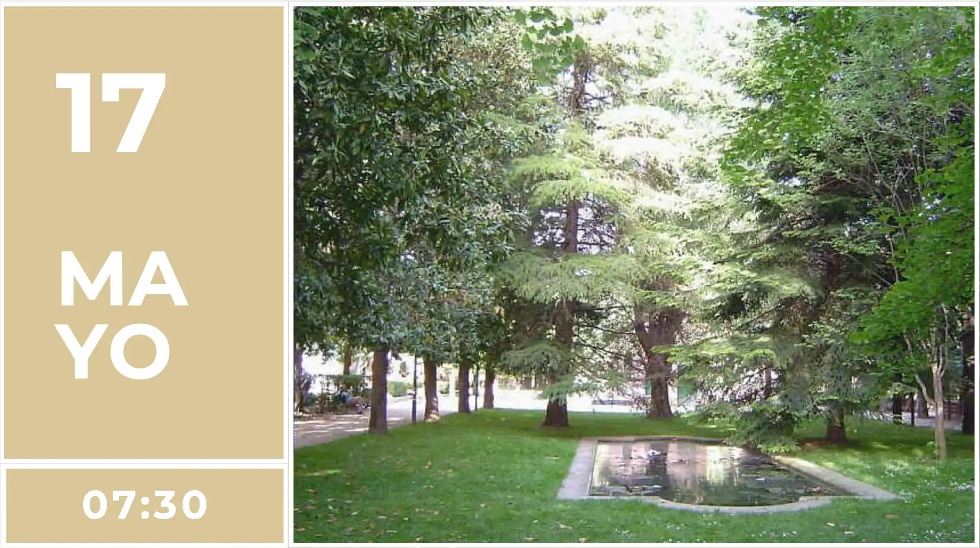 YOGA MATINAL Y DESAYUNO CONSCIENTE, con Anna Puigdellívol- Campos Elíseos