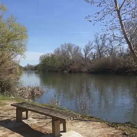 Paseo consciente meditación