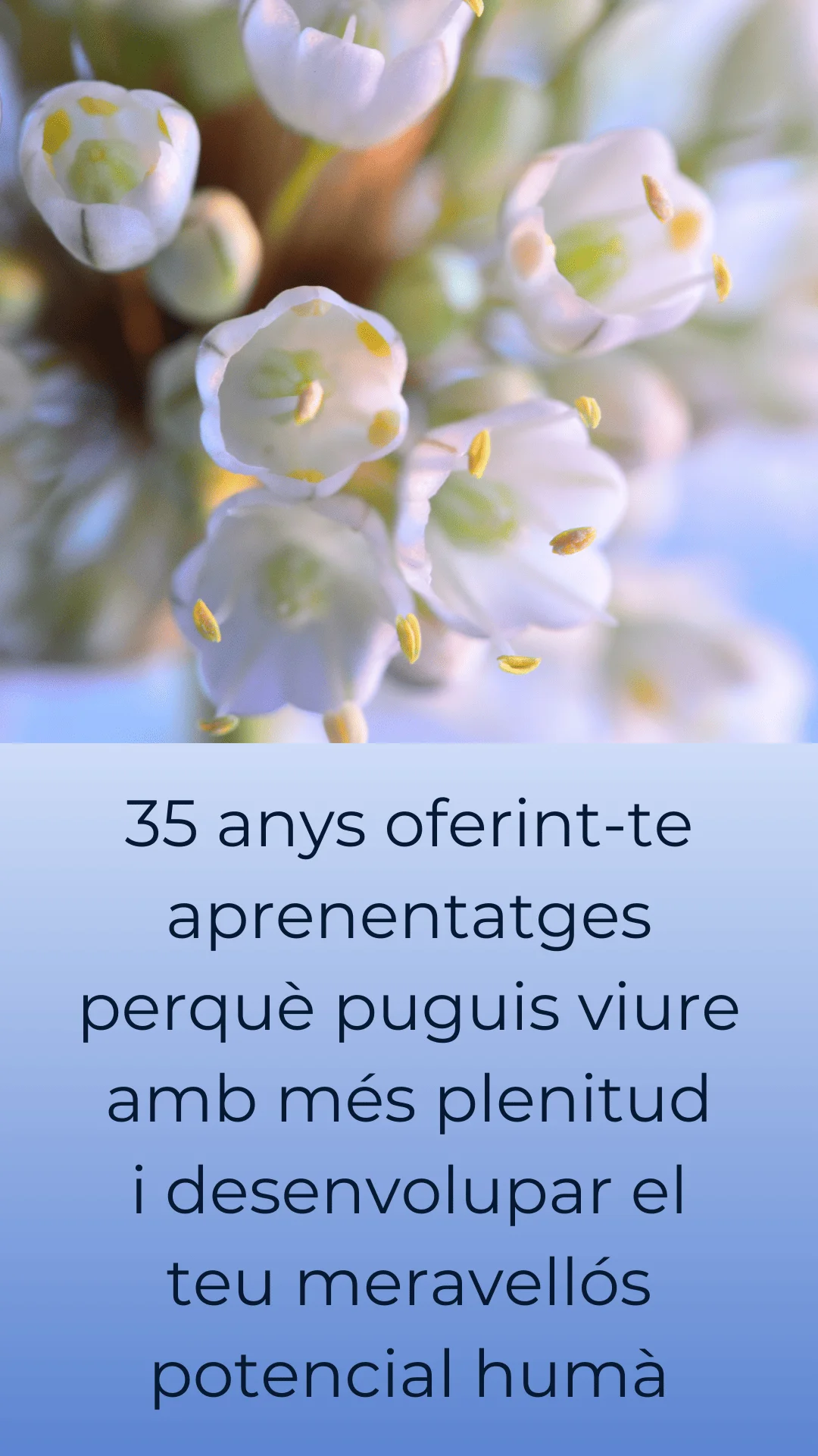 35_Aniversari_Arya_Tara_M1_cat