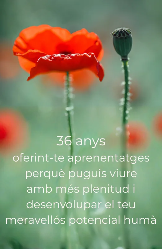 36 años Arya Tara mvl1