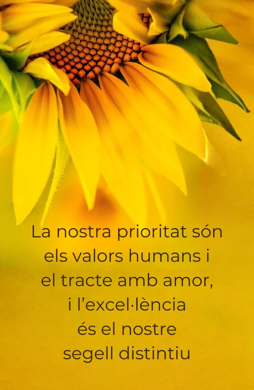 36 años Arya Tara mvl2