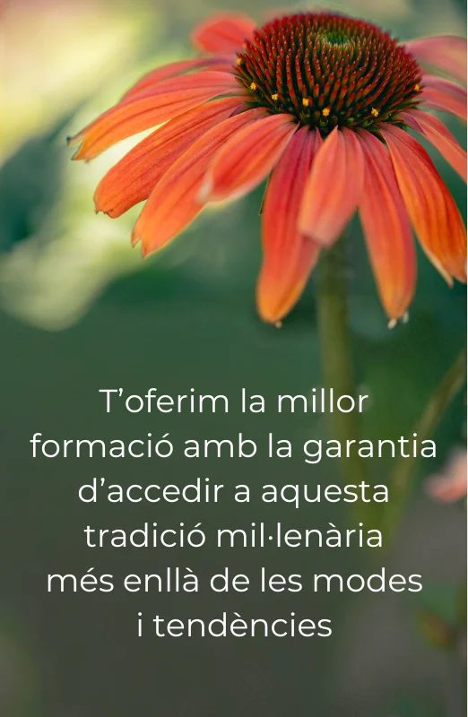 36 años Arya Tara mvl3